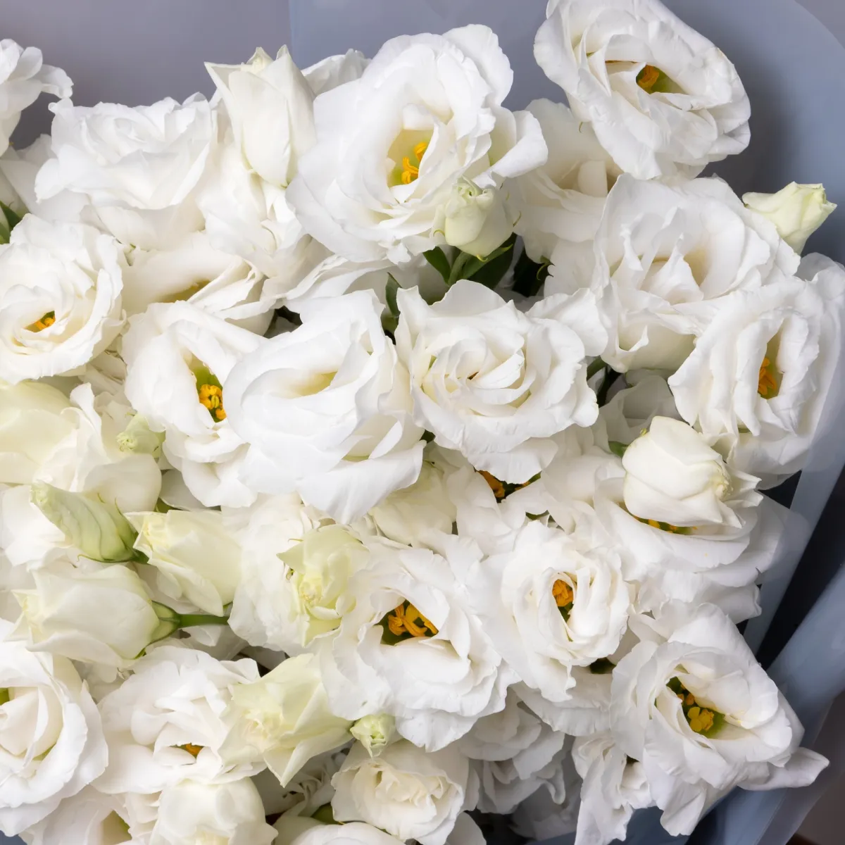 Букет Лизиантус "Ду Арена Джиант Вайт"_4