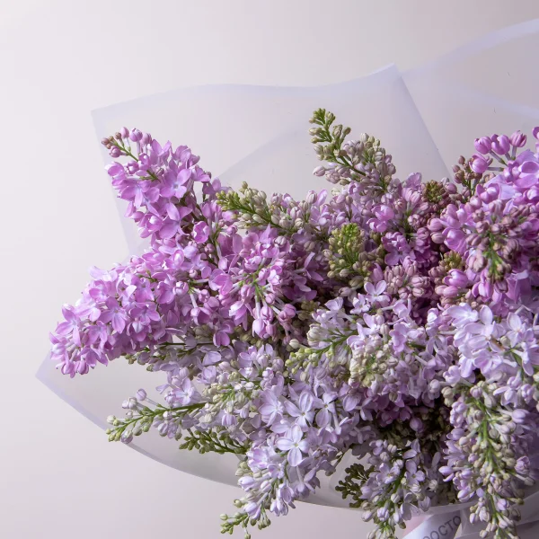 Букет Сирень "Рум Вон Хорстенштейн"3