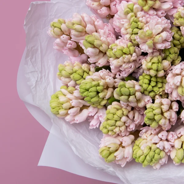 Букет Гиацинт "Пинк"