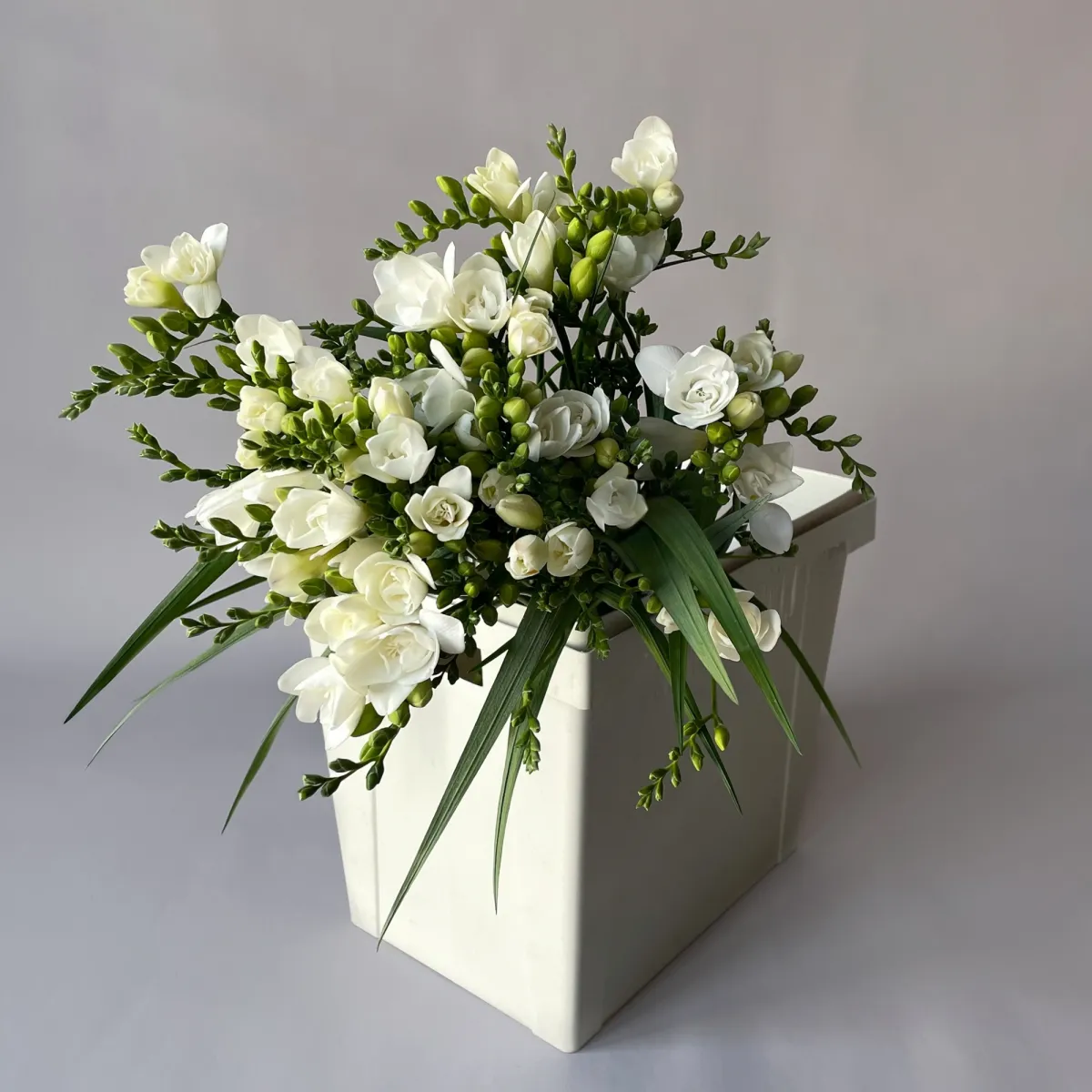 Фрезия "Эн Ван Вайт"_1