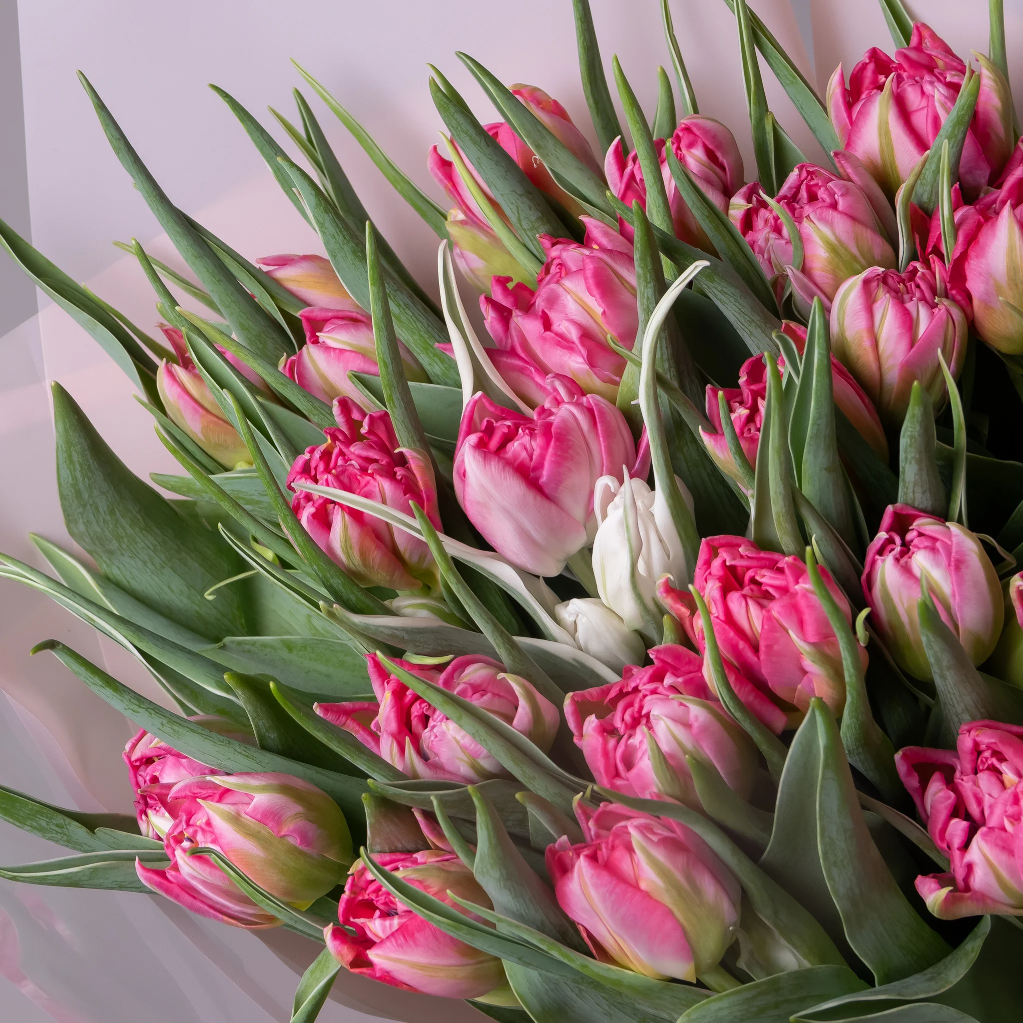 Букет Тюльпан "Ду Флеш Поинт"_2