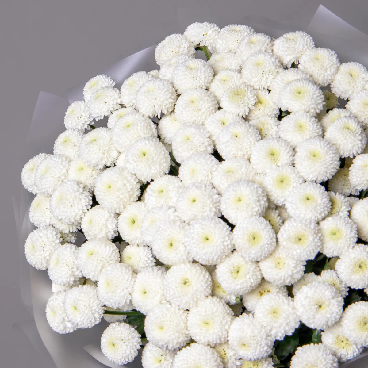 Букет Хризантема кустовая "Ньютон"_3