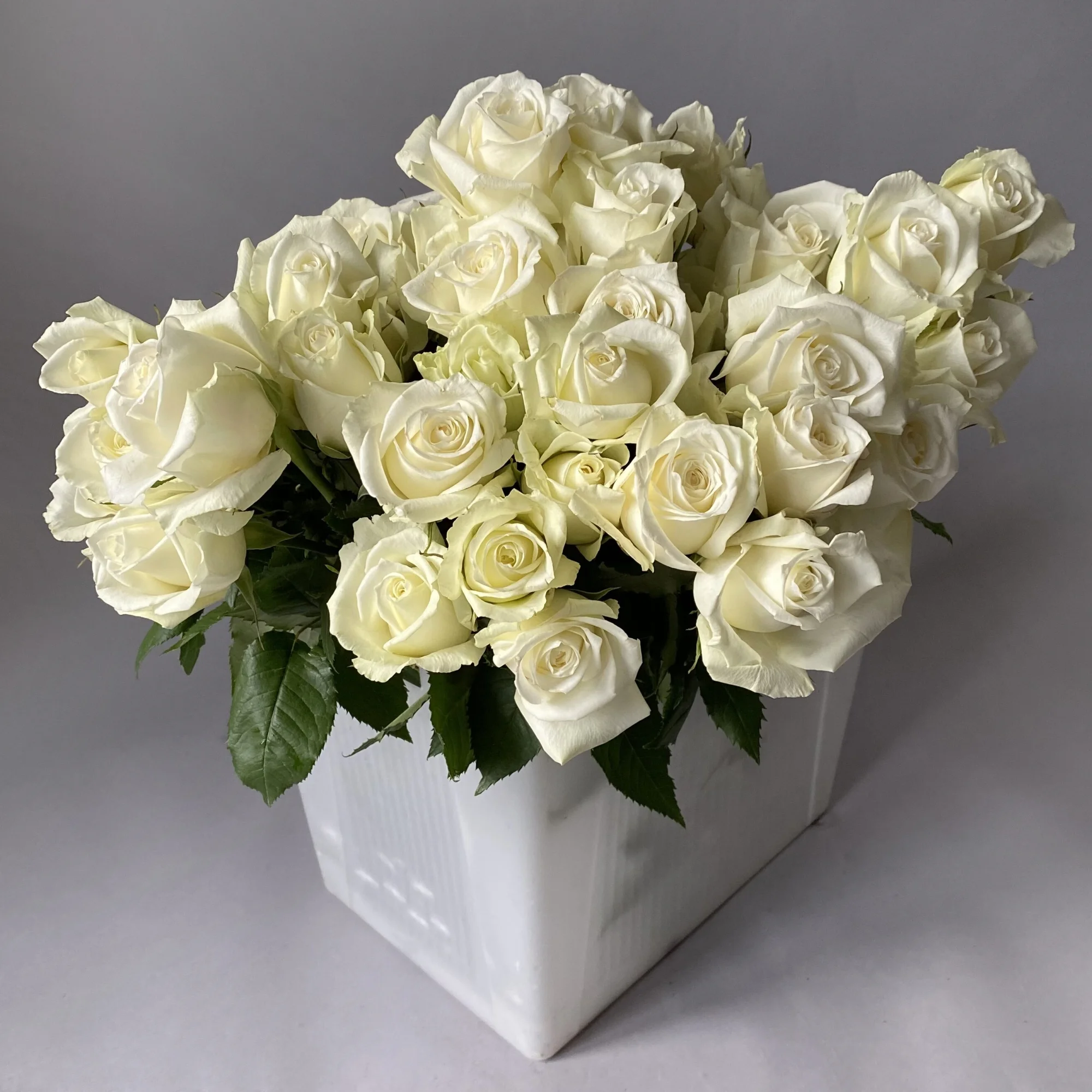 Роза "Айсбрейкер"