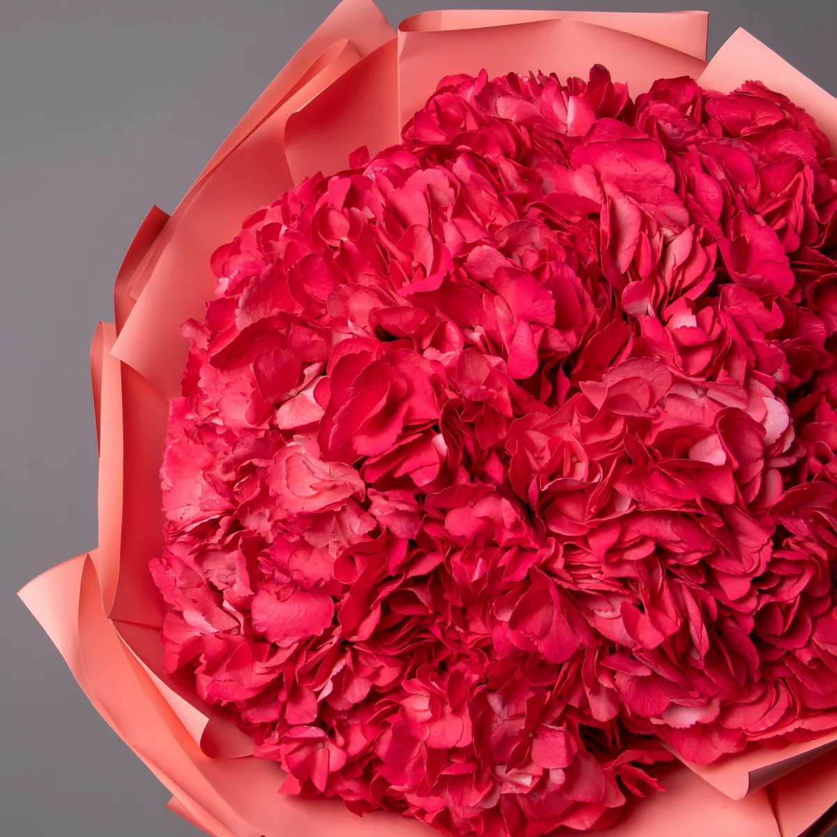 Букет Гидрангия "Хот Пинк"3