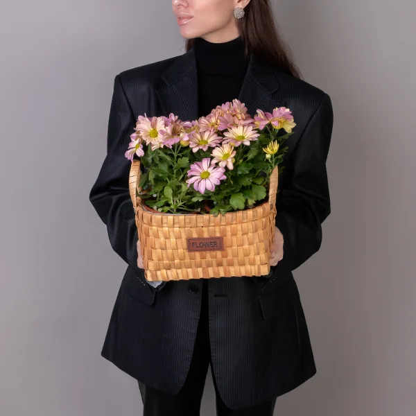 Хризантема Маргарита Розовая в Натуральной корзине_2