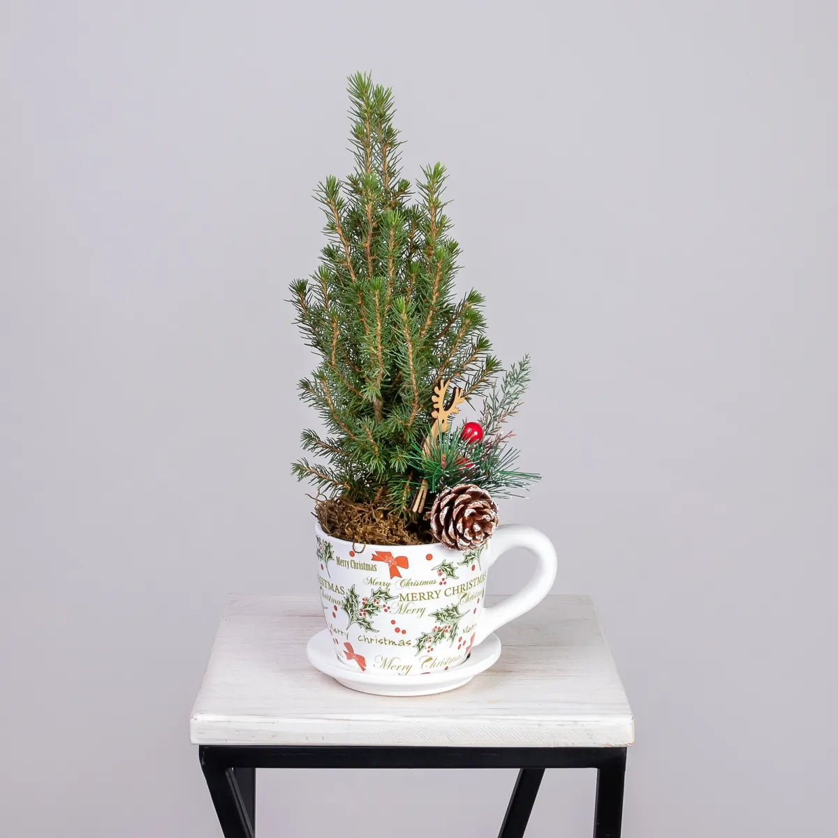 Ель Коника в кружке рожественской PTK24345_1