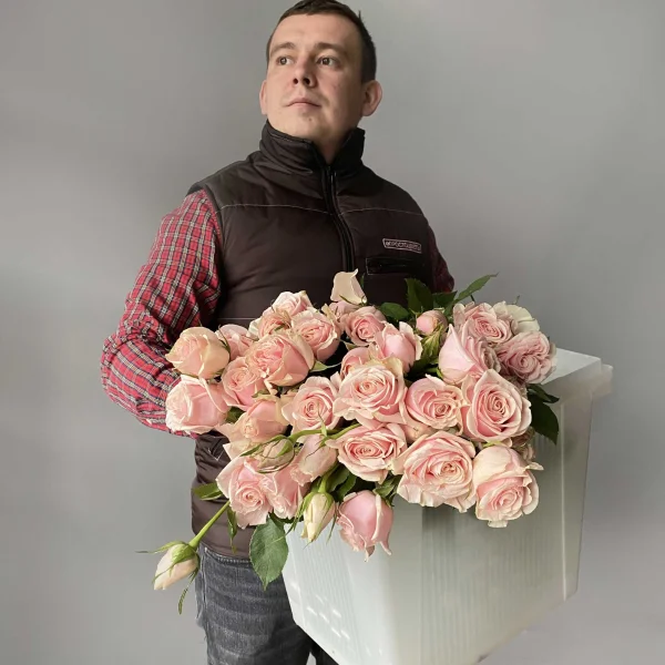 Роза_кустовая "Свит Байкал"