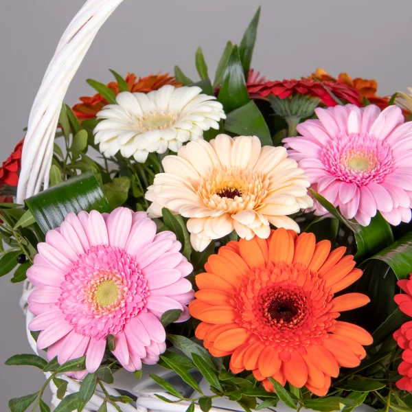 Композиция "Улыбка"_3