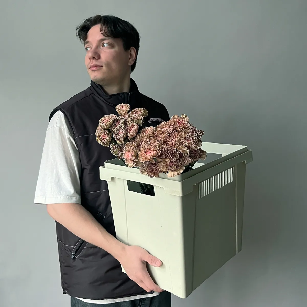 Гвоздика "ПадиДарк"_2