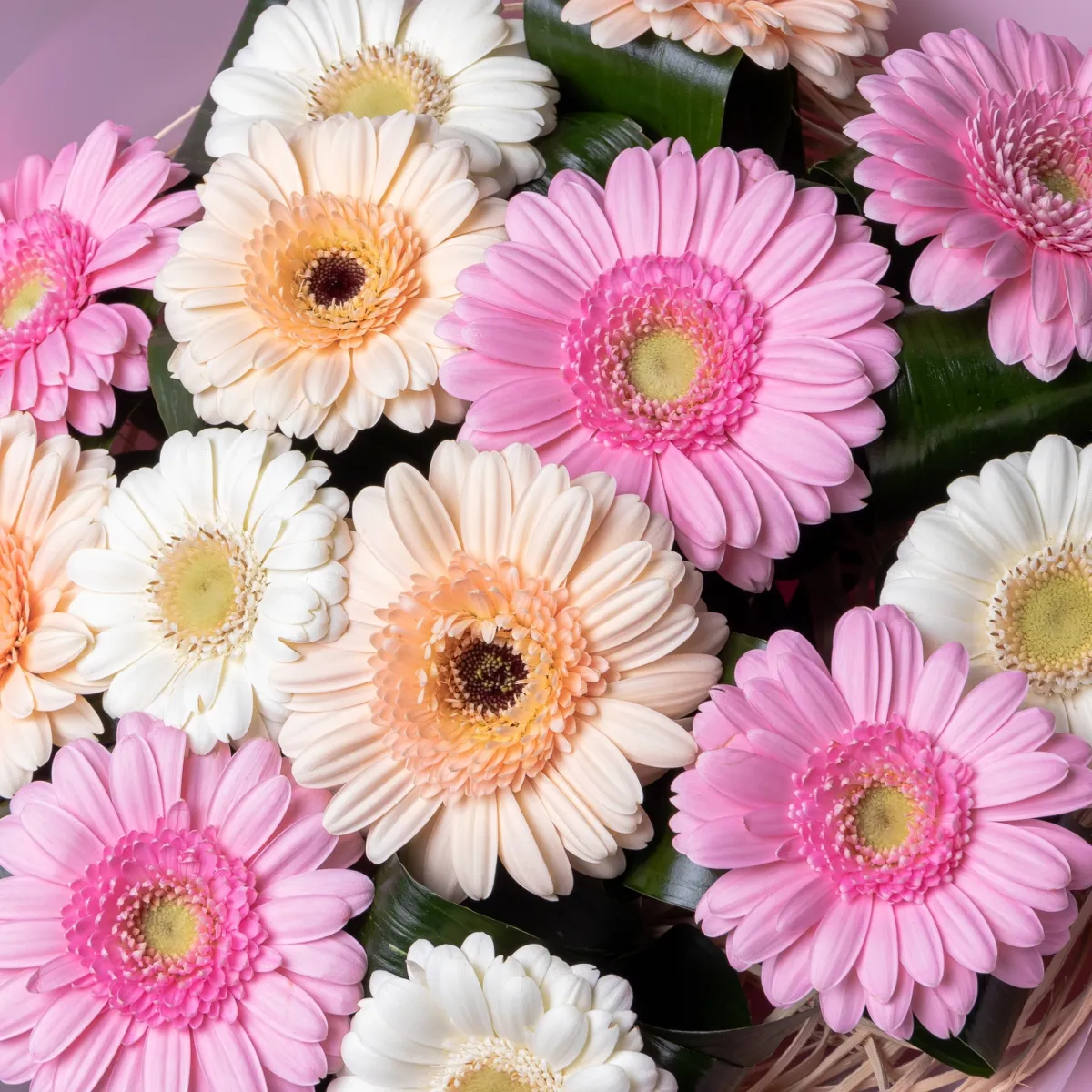 Флористический букет "Нежный возраст"_4