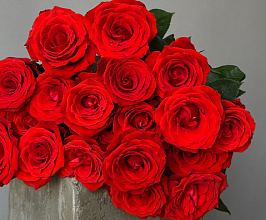 Какие цветы дарить на Татьянин день: традиции, символика и советы по выбору