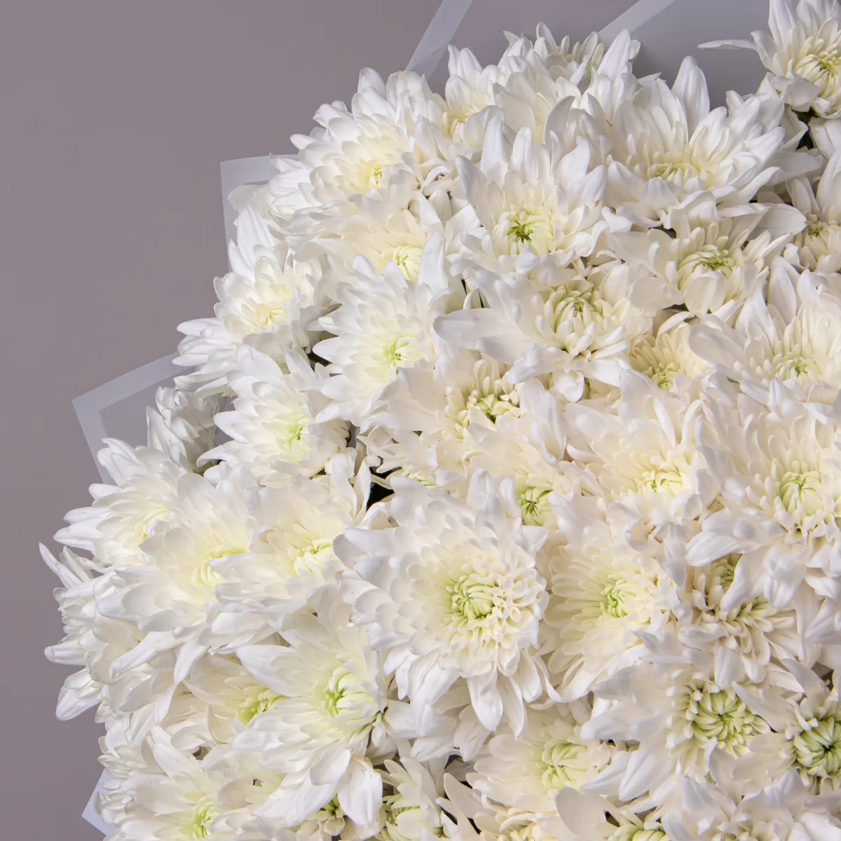 Букет Хризантема кустовая "Пино Колада"_3