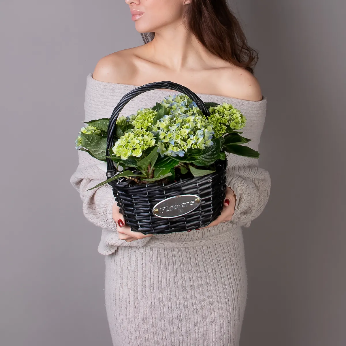 Гидрангия кустовая Синяя в черной корзине_2