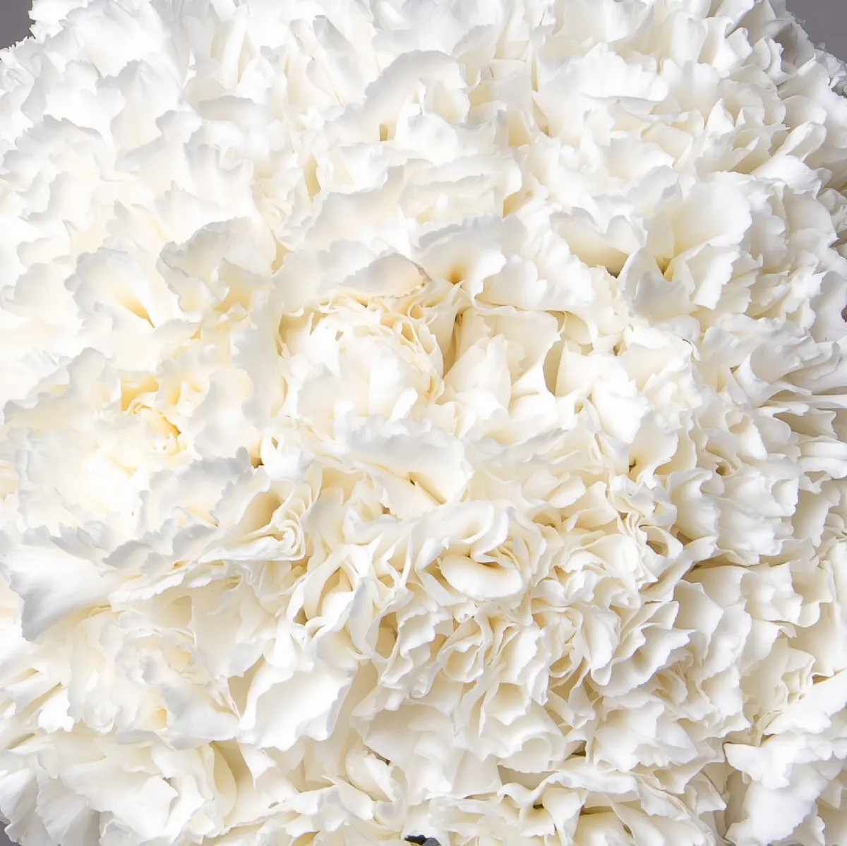 Букет невесты 1_5