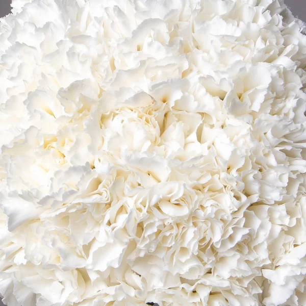 Букет невесты 1_5