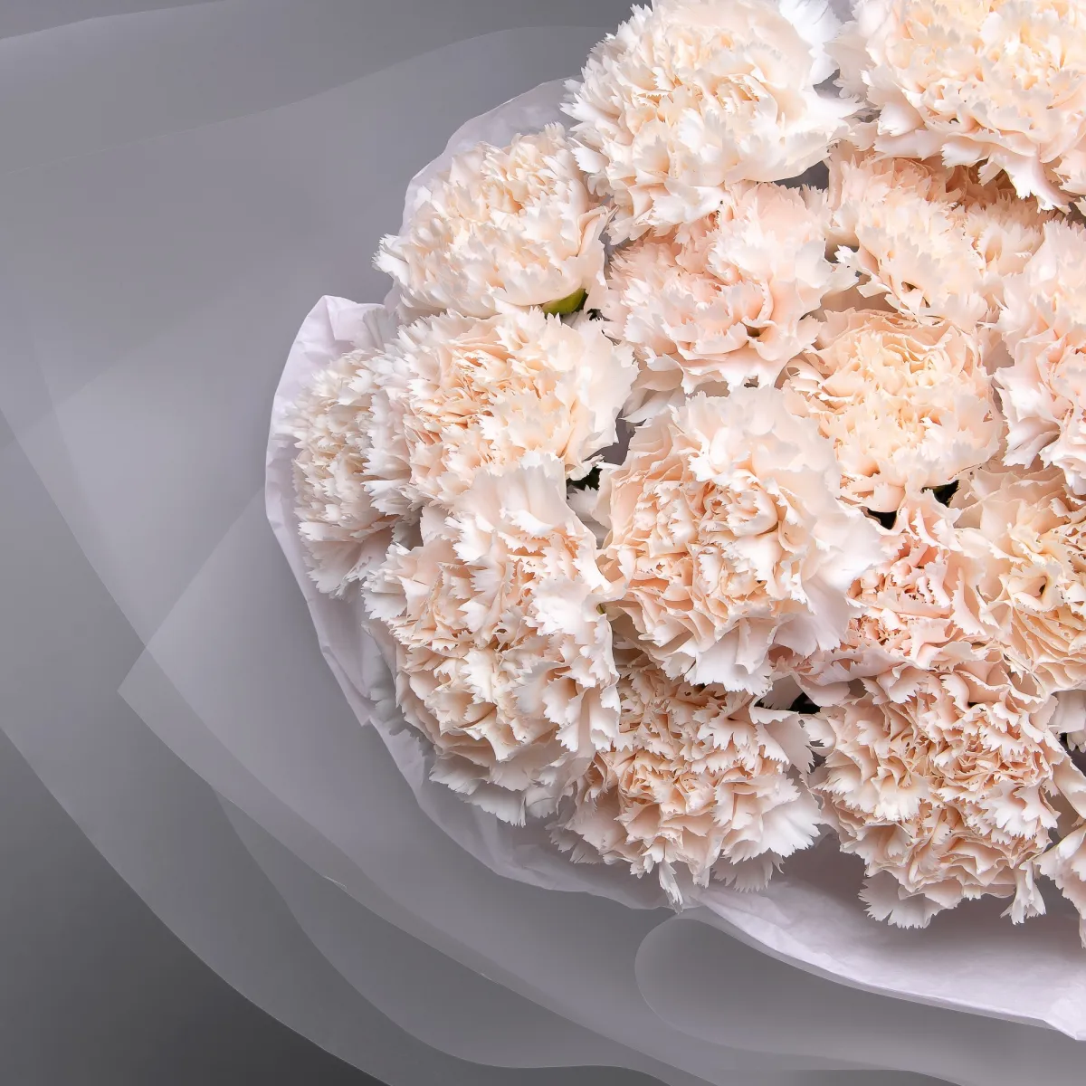 Букет Гвоздика "Брют"