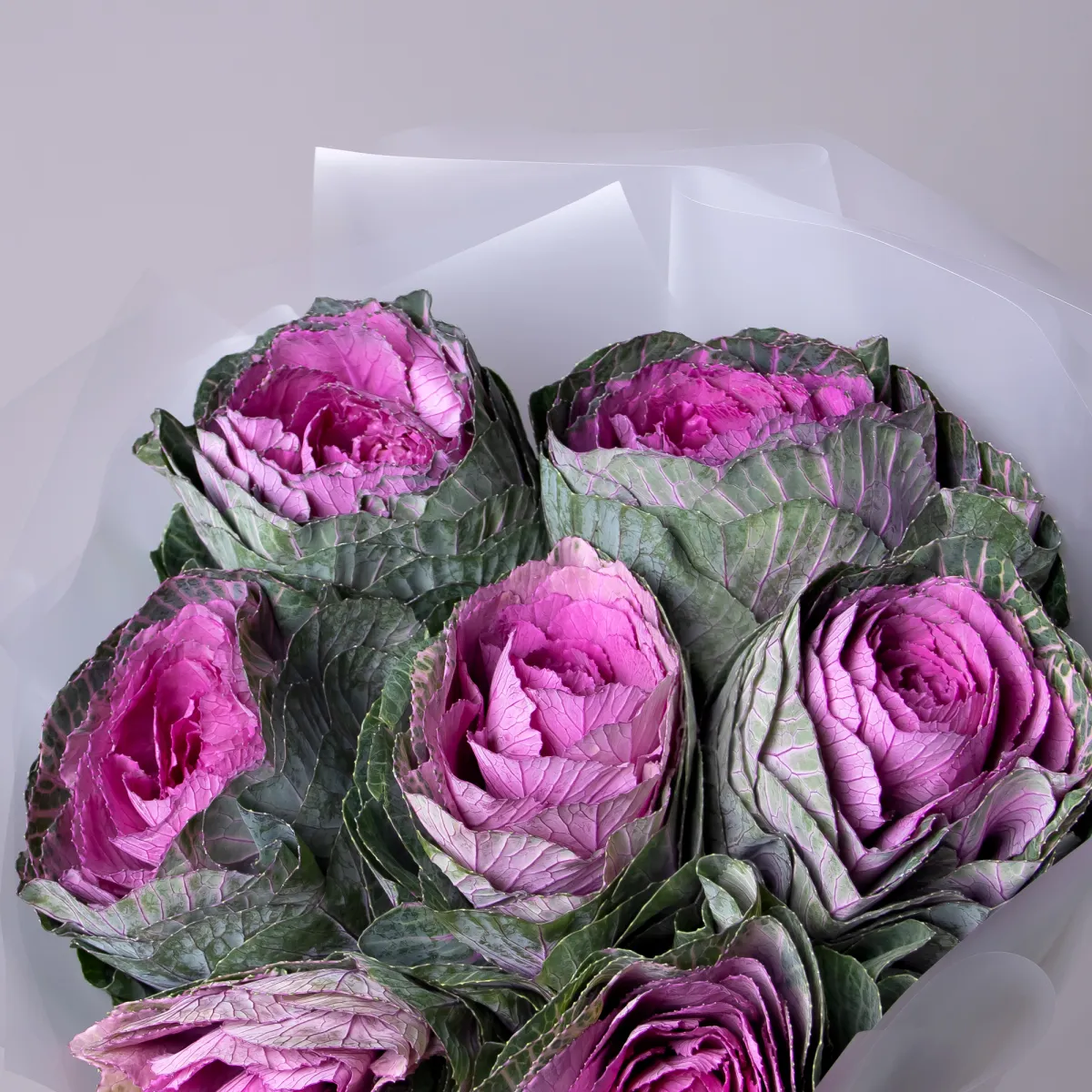 Букет Брассика "Красная"_3