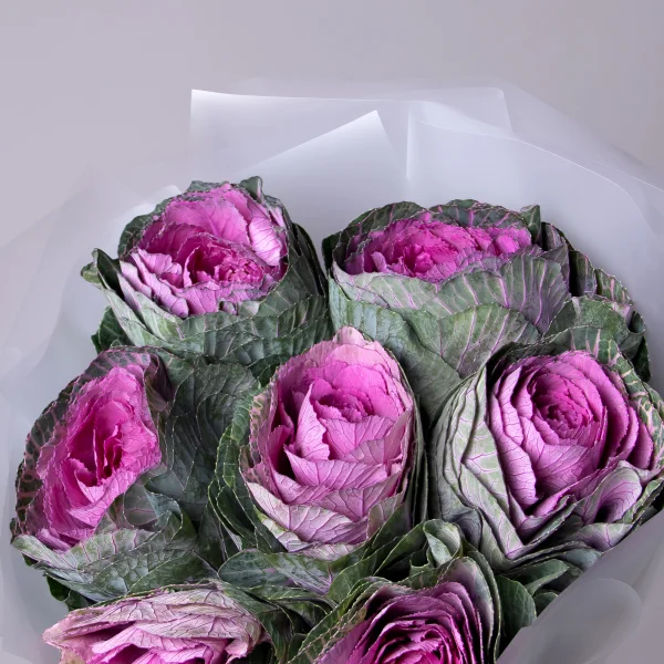 Букет Брассика "Красная"_3