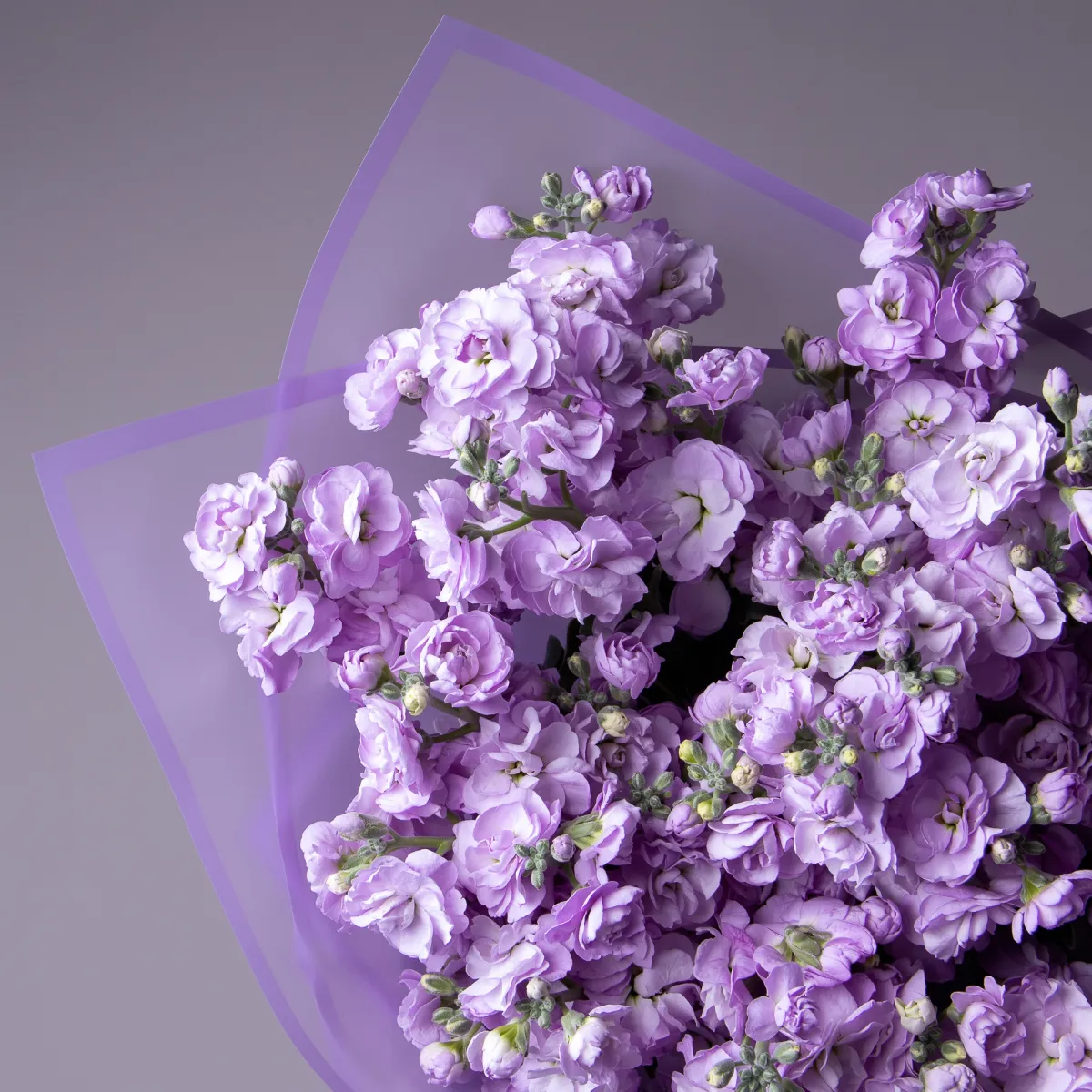 Букет Маттиола кустовая "Лаванда"_3