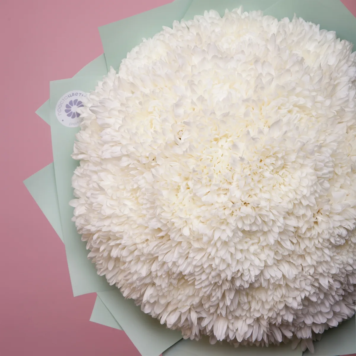 Букет Хризантема_одноголовая "Антонов"