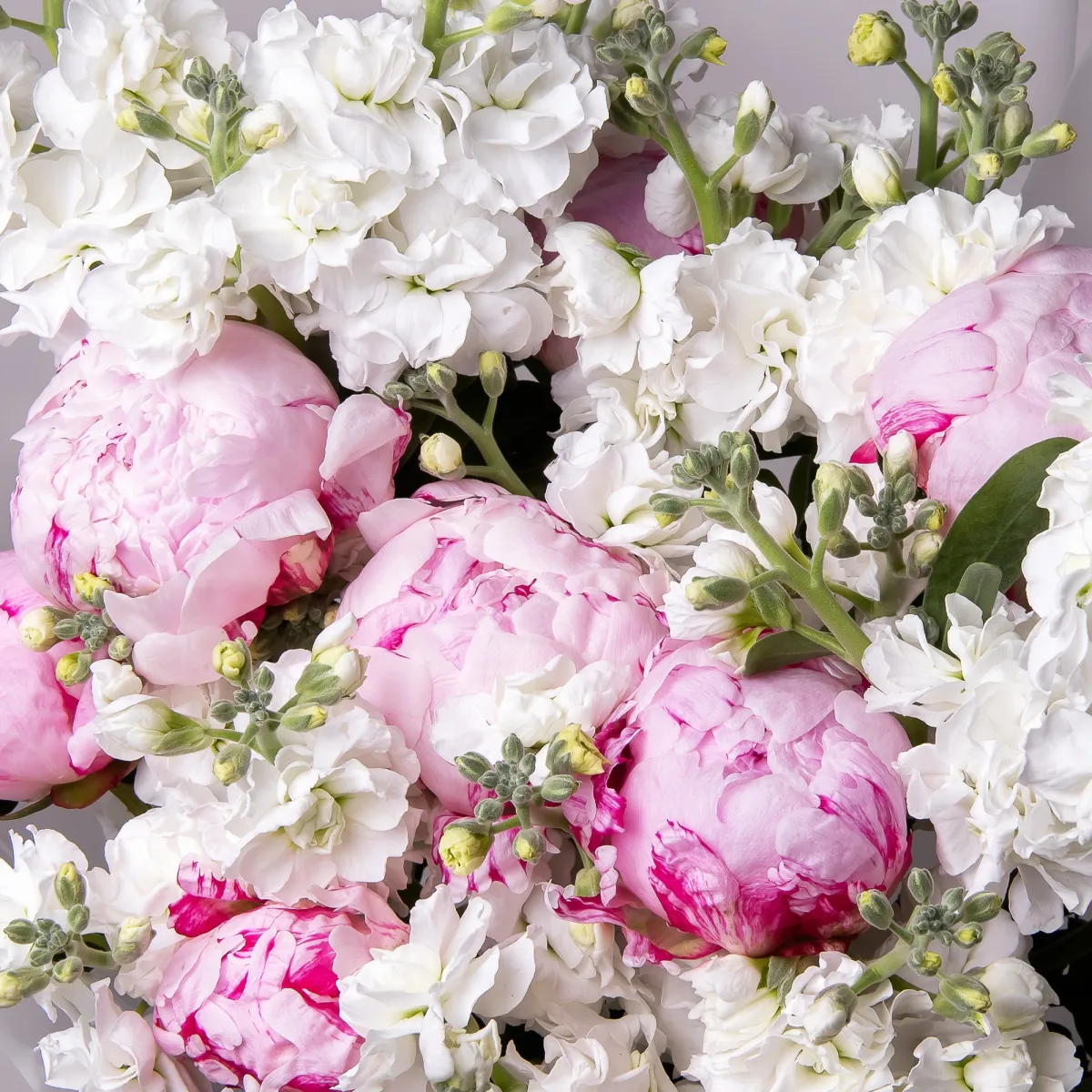 Флористический букет "Дуобукет из розовых пионов и маттиолы"_4