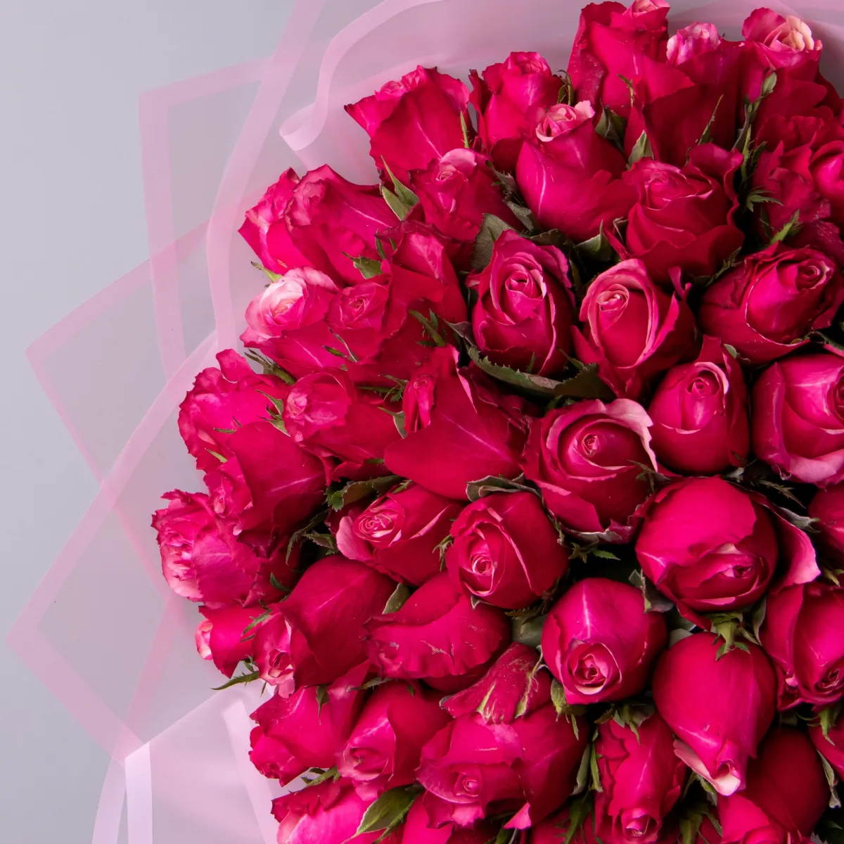 Букет Роза "Тёмно-Розовая"_3