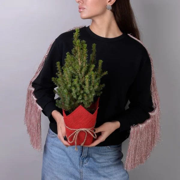 Ель Коника в джуте (цвет микс) _2