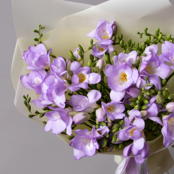 Букет Фрезия "Эн Ван Блу"_3