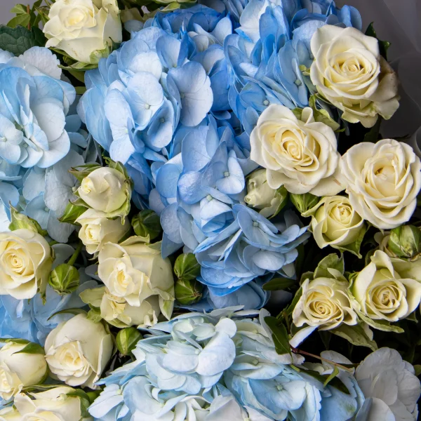 Флористический букет "Дуобукет из голубой гортензии и кустовой розы"_4