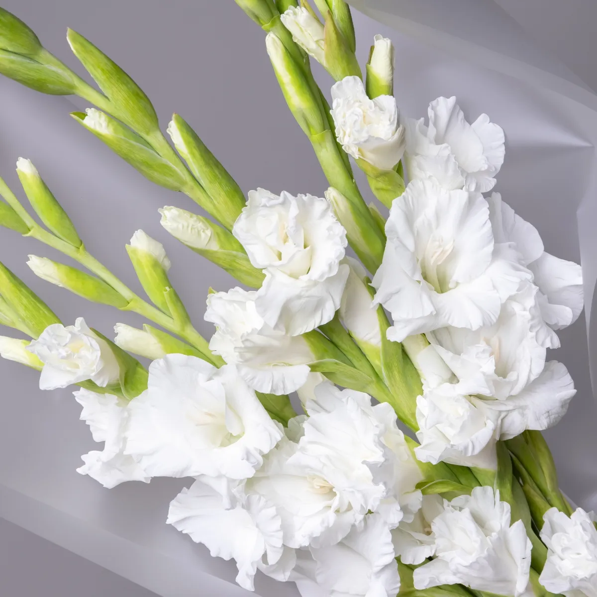 Букет Гладиолус "Эссеншл"_5