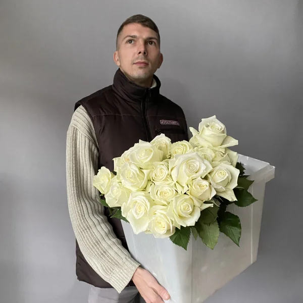 Роза "Айсбрейкер"