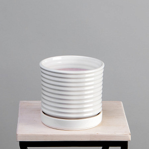 Цв. Горшок Арабика