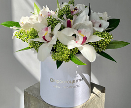 Какие цветы подарить на 14 февраля: значение, советы и идеи для влюблённых