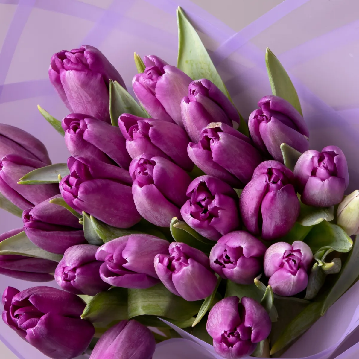 Букет Тюльпан "Буллет"_4