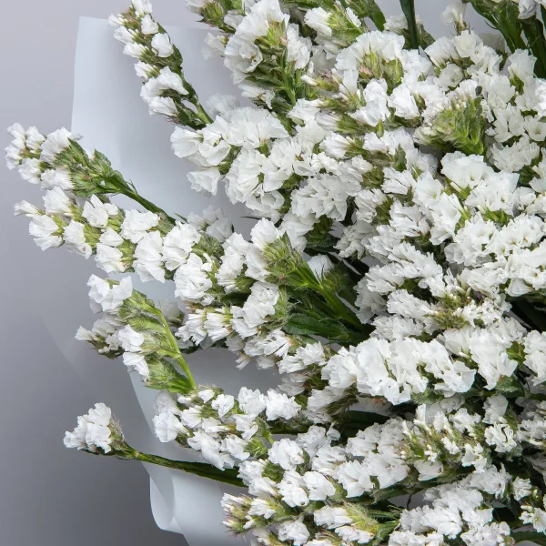 Букет Статица "Белая"