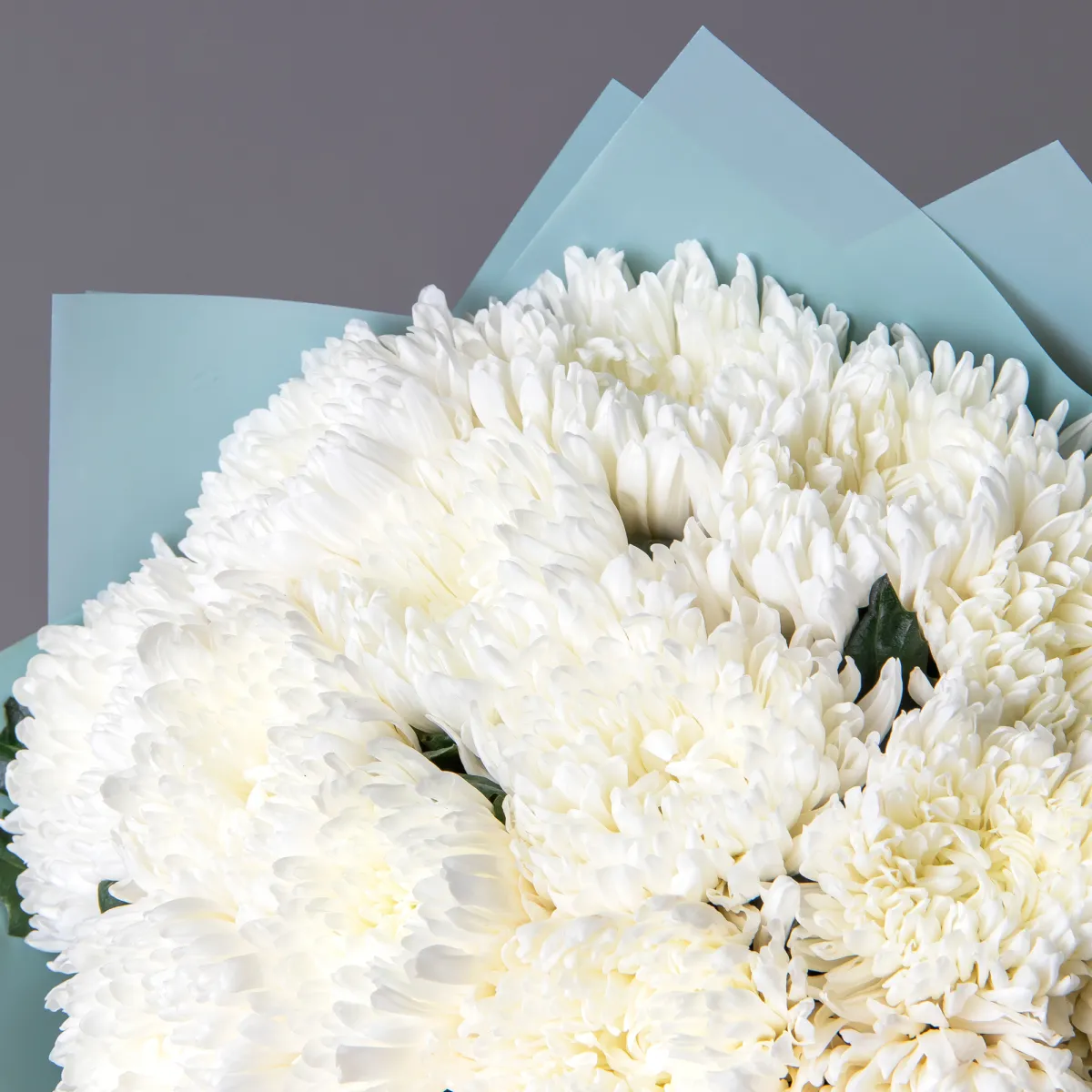 Букет Хризантема одноголовая "Антонов"_4