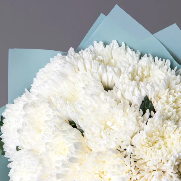 Букет Хризантема одноголовая "Антонов"_4