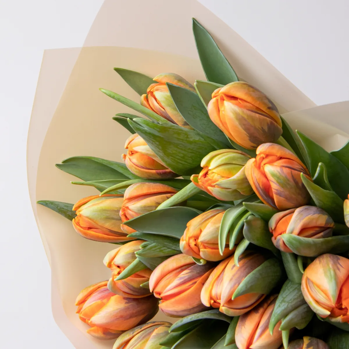Букет Тюльпан "Ду Оранж Принцесс"