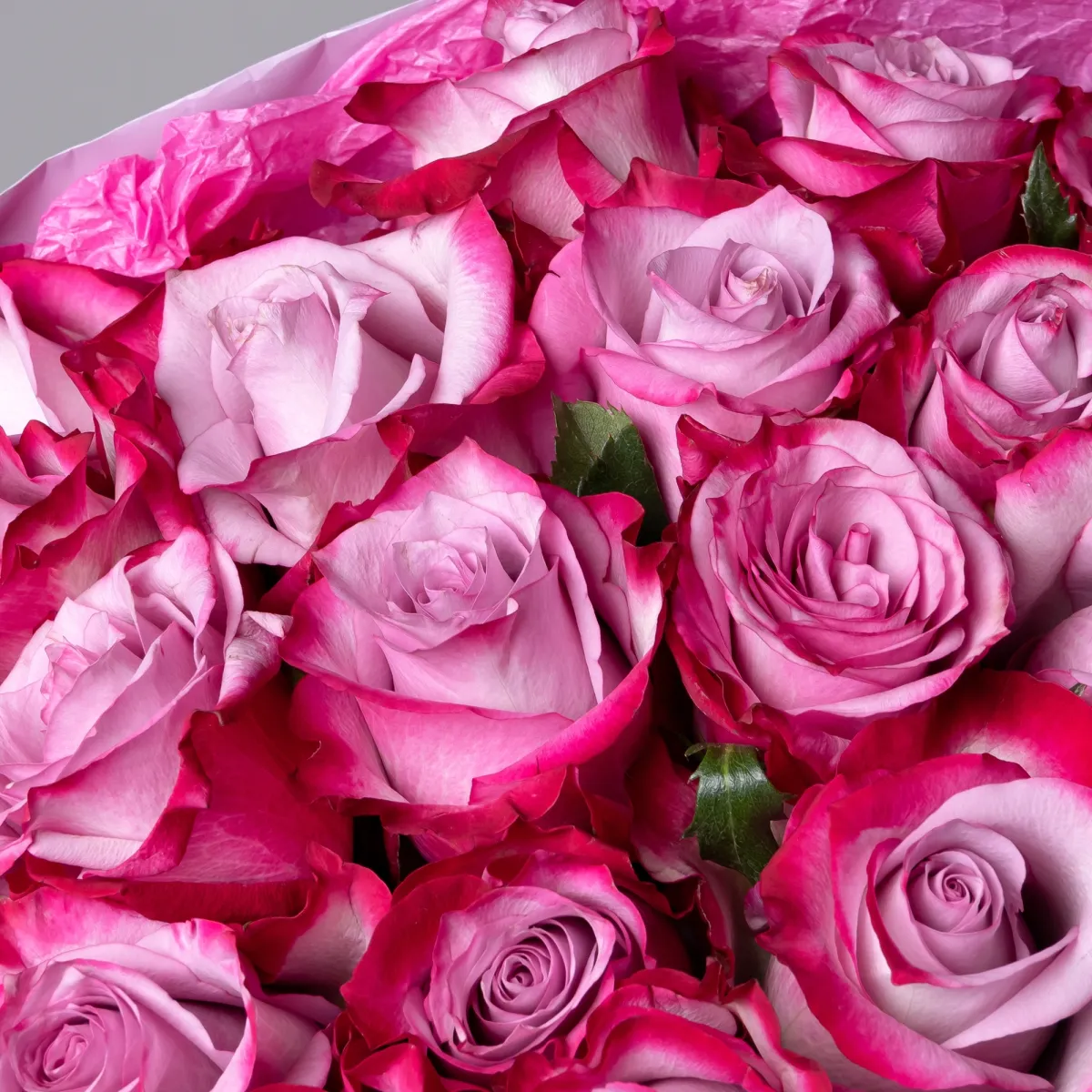 Букет Роза "Дип Перпл"_4