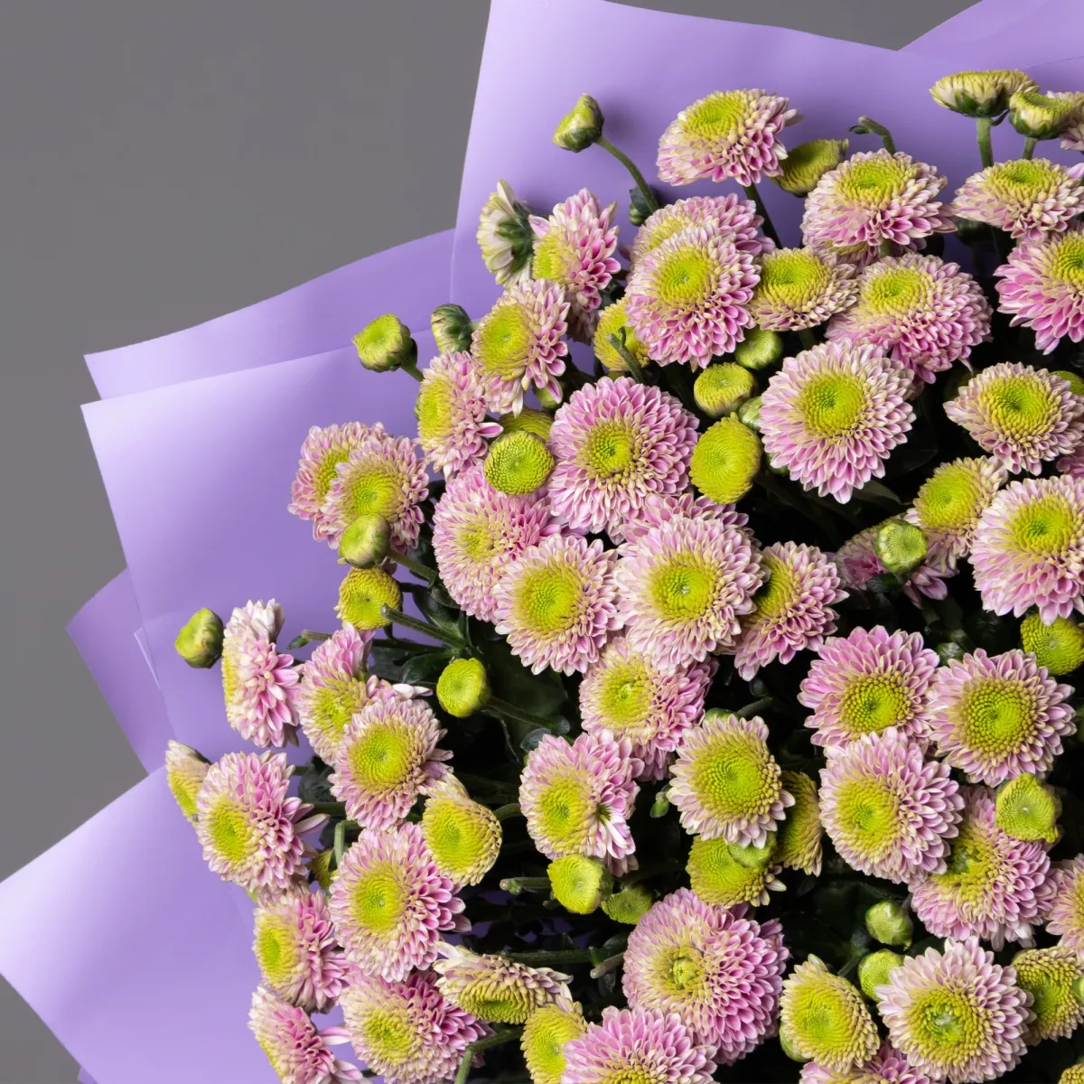Букет Хризантема сантини "Дженни"_2