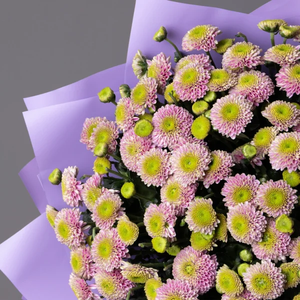 Букет Хризантема сантини "Дженни"_2