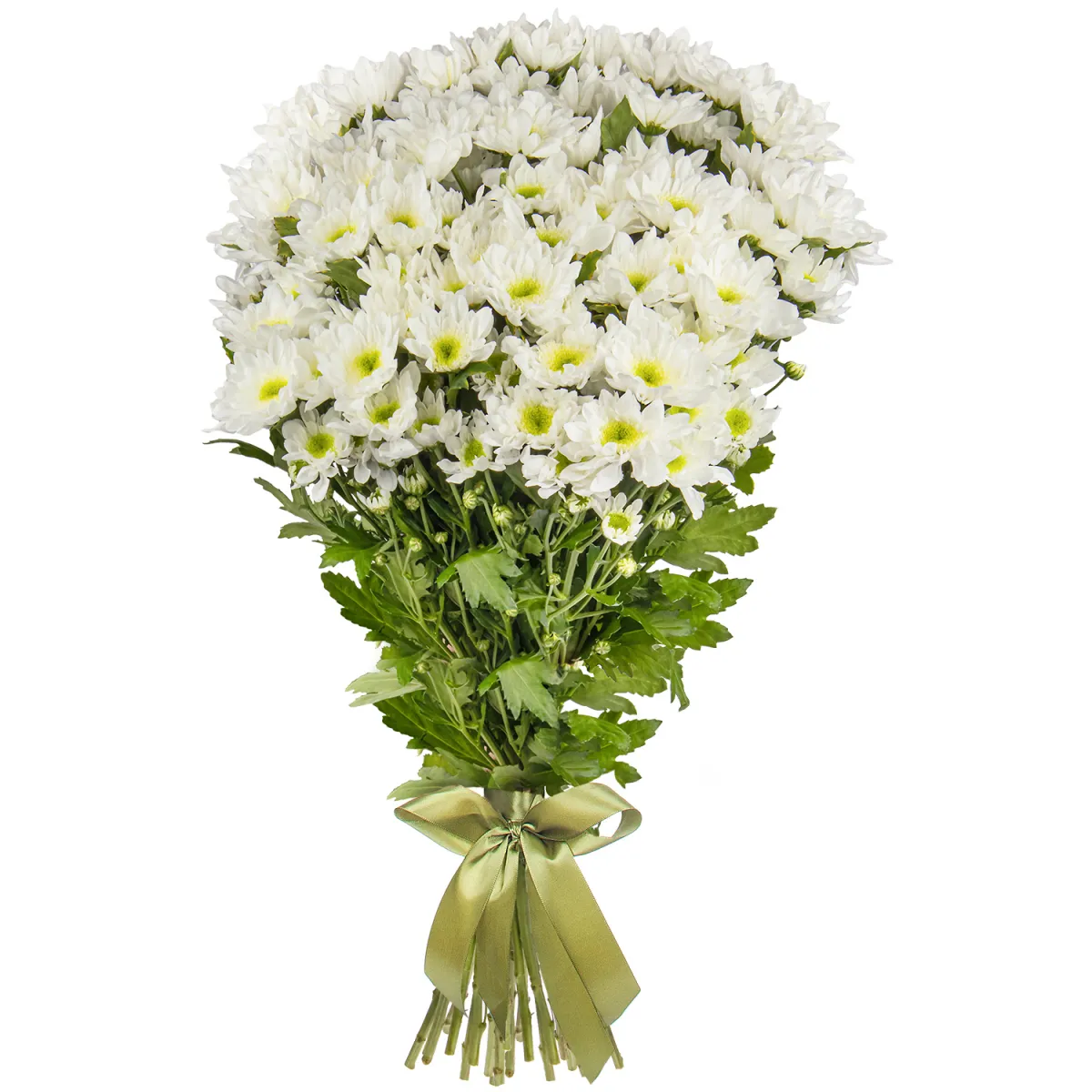 Букет Хризантема_кустовая "Радость"