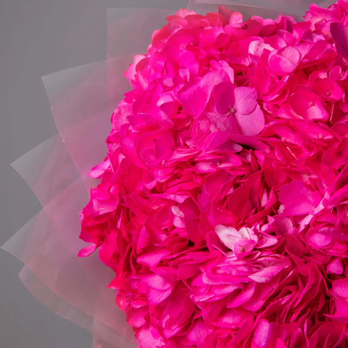 Букет Гидрангия "Розевуд"3