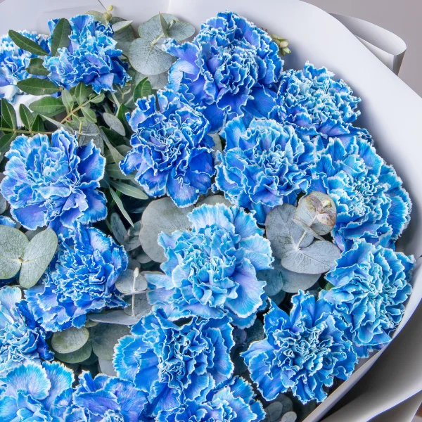 Флористический букет "Голубые Диантусы"_4