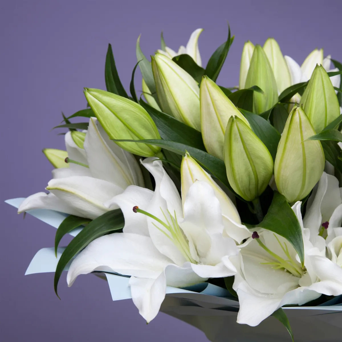 Букет Лилия "Ор Сантандер"