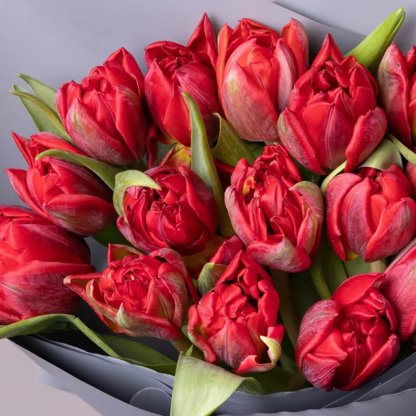 Флористический букет "Тюльпан, 15 шт, ду Красный" _4