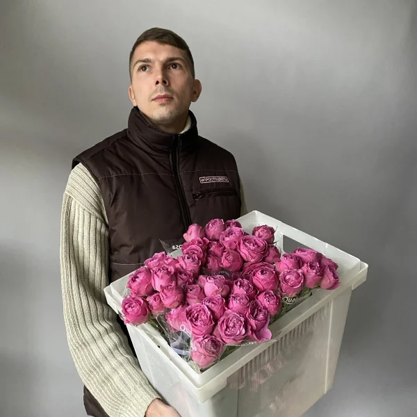 Роза_кустовая "Мисти Бабблс"