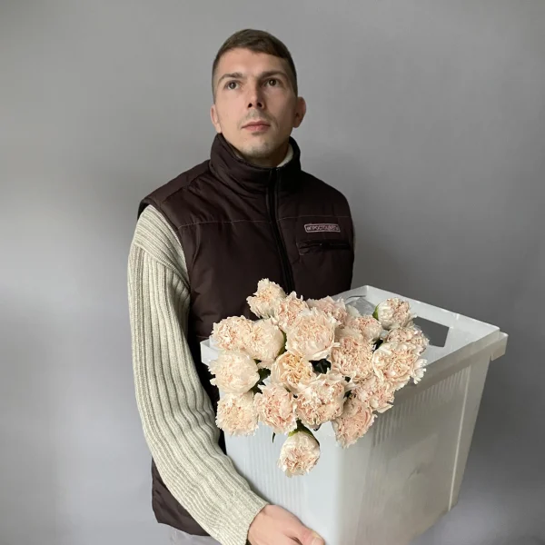 Гвоздика "Брют"