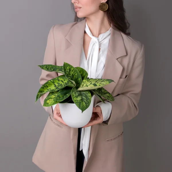 Хомаломена Камуфляж_2