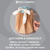 я_2